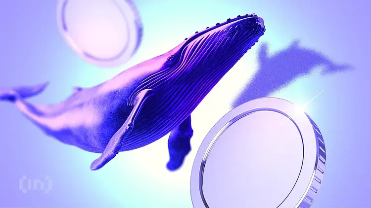 Are Ethereum Whales Betting On a Major Rally For ETH Ethereum's Price Odds in 2025.