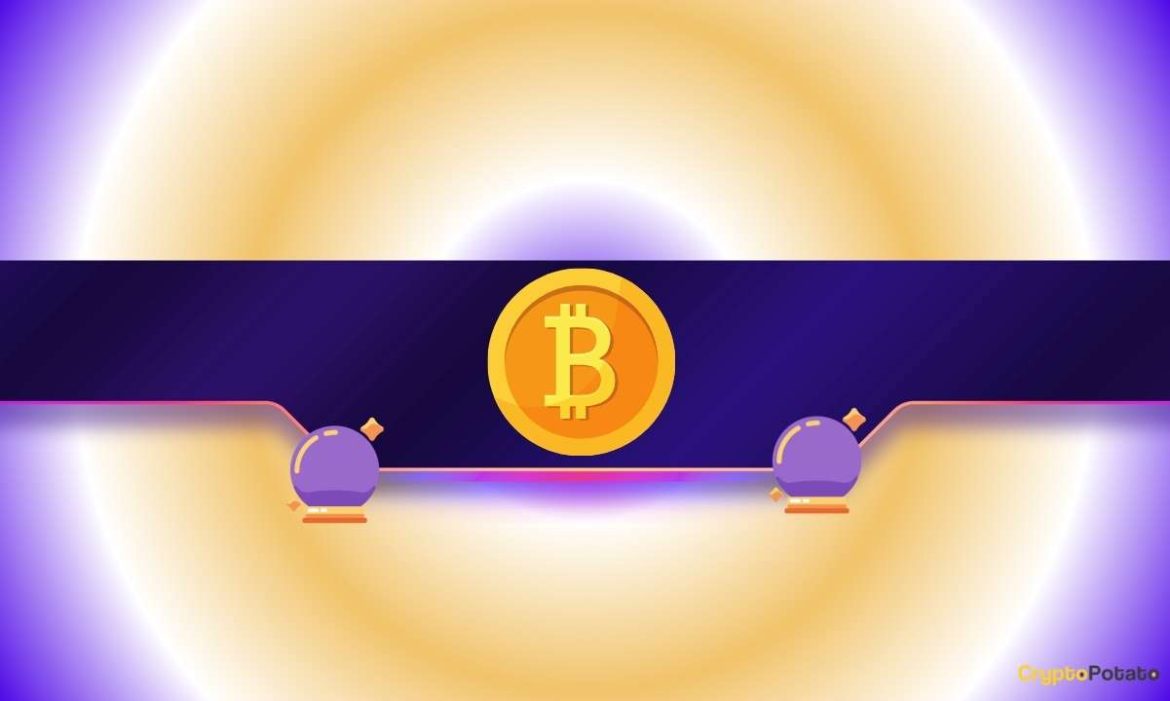 Top Bitcoin (BTC) Price Predictions Following the Crash: New ATH in Sight?