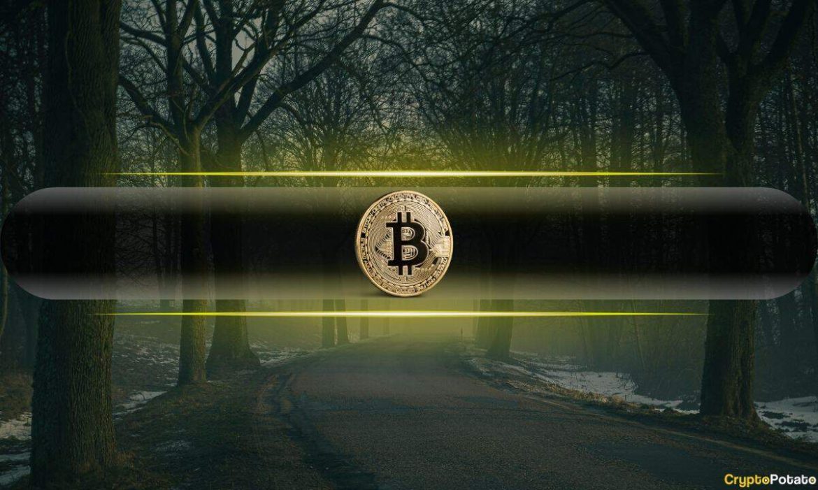 Rally on the Cards as Bitcoin Derivatives Flash Extreme Pessimism