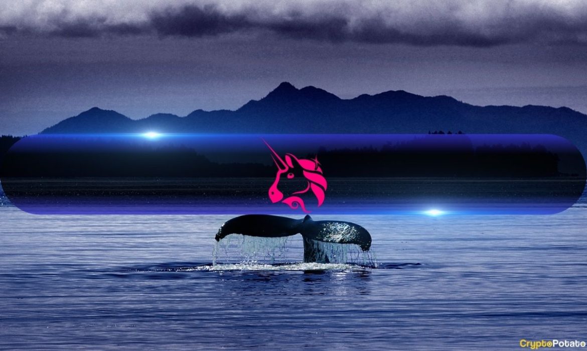 Uniswap Whale Activity Hits 7-Month Peak Following $100 Prediction